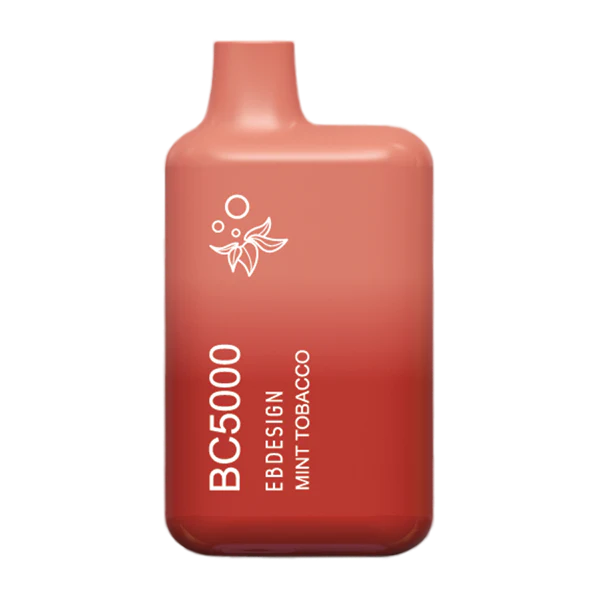 EB Vape BC5000 Mint Tobacco disposable vape product photo